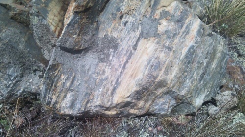 Гигантские зелёные валуны для ландшафтного дизайна весом более 5 тонн купить в Соликамске